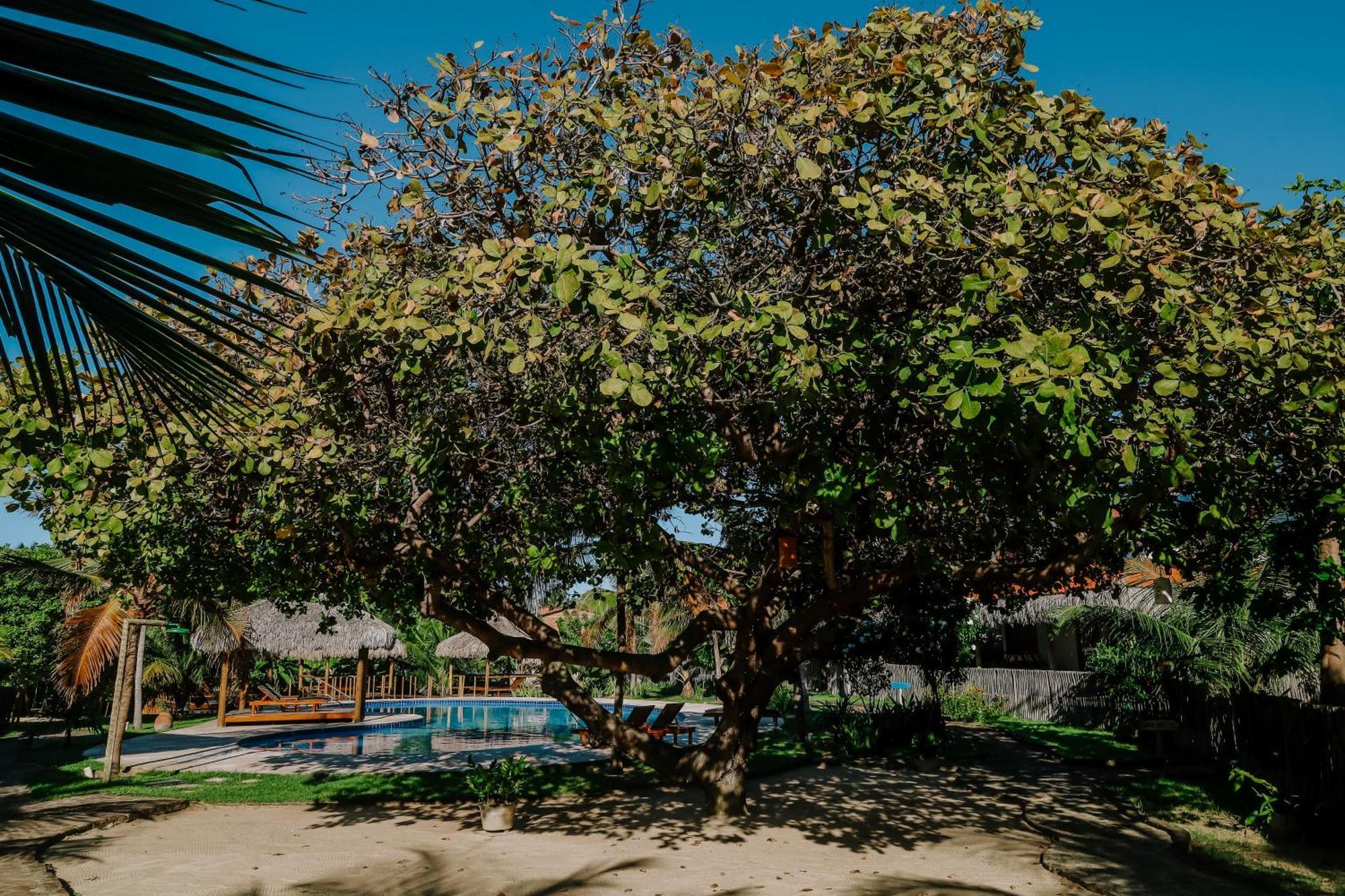Casas Capulana Villa Icaraí Exteriör bild